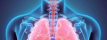 This is how long it actually takes to get abs. Albuterol Sulfate Albuterol Sulfate Inhalation Solution Side Effects Images Uses Dosage Overdose At Rxlist