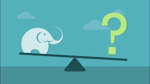 How much does an elephant weigh? How Much Should An Elephant Weigh Youtube