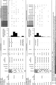 Image result for Annickia lebrunii