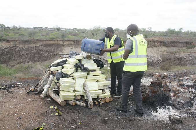 SERNIC incinera 127 kg de drogas em Maputo