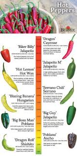 225 Best Chili Pepper Types And Info Images In 2019