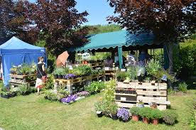 10.00 bis 24.00 uhr, ruhetag: Rosen Und Gartenmarkt Lockte Viele Besucher In Den Garten Der Sinne Landkreis Merzig Wadern