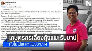 ร้านกุ้งเผาอยุธยาที่อยู่ริมน้ำในตลาดกลางเพื่อการเกษตร อยุธยา มีห้องแอร์และโซน outdoor ด้านนอก กุ้งเผาร้านนี้กิโลกรัมละ 500 บาท. Wuewstf89jgqum