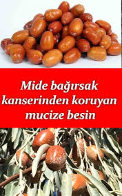 Super Besin Omega 7 Deposu Cikti Health Natural Cures Herbalism