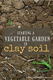 Substra · aqua · coco · quality proves itself Starting A Vegetable Garden In Clay Soil Preparednessmama