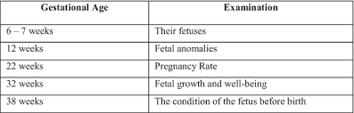 Normal Pregnancy Diagnosis Using Software Of Ultrasonography