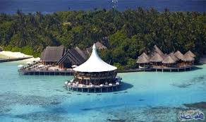 جزر المالديف وجهة ساحرة مذهلة لقضاء عطلتك الصيفية Maldives Resort Travel Nature Tree