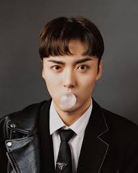 Clayton Wang (@elvans2elvan) • Instagram photos and videos