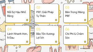 Tại sao PRF lại vượt trội hơn các chế phẩm cũ như PRP?, - Phóng thích từ  từ: Các yếu tố tăng trưởng được giải phóng dần dần suốt 14 ngày, nuôi dưỡng  vùng tổn thương liên tục., - Điều hòa miễn dịch: ...