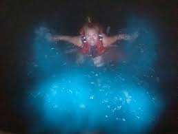 Saiba Onde Estao As Praias Com O Fenomeno Da Bioluminescencia Cor Azul Neon No Escuro Spot Life