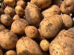 Wenn dies leicht geht und sie auf keinen widerstand stoßen, sind die kartoffeln gar. Gluhende Landschaften Teil Ii Die Kartoffel Bereit Weil Ihr Es Seid