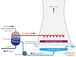 Plants drink water through a process called osmosis. Making Electricity Consumes A Lot Of Water What S The Best Way To Fix That Scientific American Blog Network