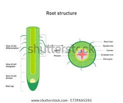 Maybe you would like to learn more about one of these? Shutterstock Puzzlepix
