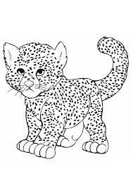 These cheetah coloring pages to print will also help him learn basic things like. Coloring Pages Baby Cheetah Playing Coloring Pages
