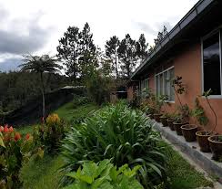 Perkuburan islam kampung taman sedia. 6 Homestay Di Kampung Taman Sedia Cameron Highland Murah Best Mesra Bajet