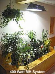 Acf Indoor Plant Grow Lights Information Guide Grow Lights For Plants Growing Plants Indoors Grow Lights