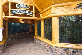 Top brands at great prices Cabela S