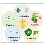 Thiourea Derivatives in Agrochemical Discovery and ...