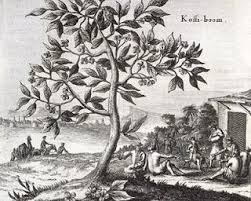That night they were uncannily alert to divine inspiration. Discovery Of Coffee Myth Coffee History Ethiopian Coffee Coffee Tree