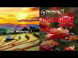 We did not find results for: Beautiful Good Morning Images Video Youtube In 2020 Good Morning Beautiful Beautiful Morning Pictures Good Morning Images
