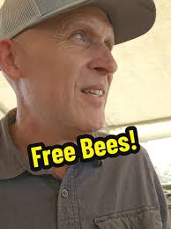 A swarm moved into our box. #beetok #skykittens #559 #tularecounty  #kingsburg #swarm #honeybees #StayFeral #BeeFeral #GoFeral