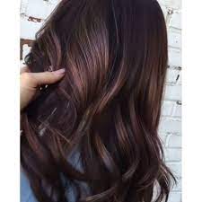 Brown is so much more than only light, medium and dark brown. Image Result For Blue Violet Brunette Hair Color Lowlight Brunette Hair Hair Brunette Hair Color