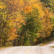 Grout pond is a popular destination for camping, hiking, paddling, and fishing. Scenic Drives Vistas In The Finger Lakes Photography Locations Gardens