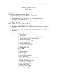exercise 32 blood vessels