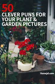 Planting calendars for places in alaska. 50 Funny Plant And Garden Puns That Are Too Clever For Their Own Good