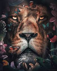 Wow Animals Beautiful Animals Wild Animal Photo