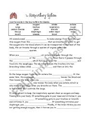 The Respiratory System Worksheet Respiratory System Respiratory System Activities Human Respiratory System
