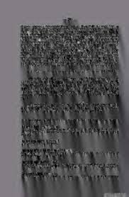 Image result for Eggelingia clavata