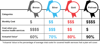 How much is car insurance for a young driver in their 20s? Insurance Marketplace Total Health Care