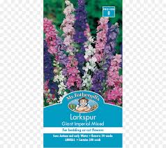 Flowers Clipart Background Png Download 800 800 Free Transparent Larkspur Png Download Cleanpng Kisspng Larkspur wildflower, bluebells transparent background png clipart. cleanpng