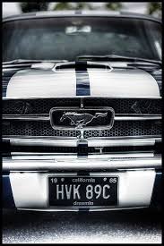 We did not find results for: Mustang Muscle This Has Got To Be The Most Iconic And Best Loved Car In The World Mustang Americanmuscle Luxury Ca Pony Car Ford Mustang Mustang Cars