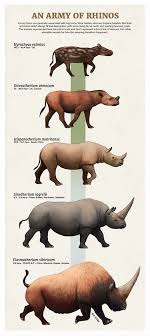 Tumblr Artist Paleoart Creates Beautiful Animal Evolution Series 22 Species In 2020 Prehistoric Animals Ancient Animals Extinct Animals