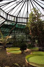 Jardin Botanique C Shirin Khalili Strasbourg Avec Images Jardin Botanique Botanique Jardins