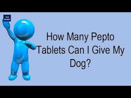 How Many Pepto Tablets Can I Give My Dog Youtube