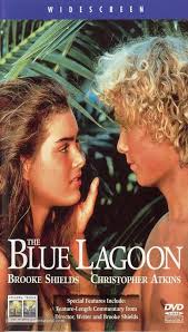 Image result for Lagoon Blue 1983 Kelvinator
