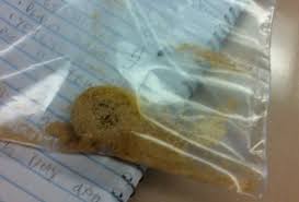 Posted on april 19, 2014 by victor hsiao. Fifth Grade Lesson Yeast Bananas Investigation Betterlesson