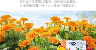 高含量 不易被破坏 更稳定每片含叶黄素酯2 5毫克 营养成分含量高 叶黄素酯微囊化技术 大大提高产品稳定性 proi 眼睛營養品確認過眼神每刻都是真