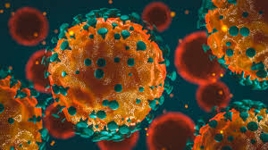 Some people are infected but don't notice any symptoms. What Is A Coronavirus Live Science