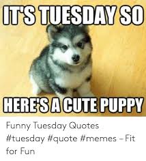 Here we have added funny tuesday quotes from all over the internet. 25 Best Memes About Tuesday Quotes Tuesday Quotes Memes