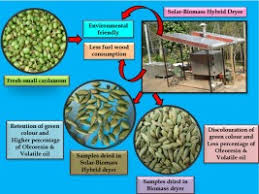 نتیجه جستجوی لغت [drying] در گوگل