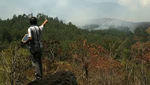 Bila dana desa bisa mencapai rp 75 triliun tahun mendatang, sekjen kementerian desa, pembangunan daerah tertinggal, dan transmigrasi (kemendes pdtt) anwar sanusi mengatakan. Setelah Lawu Dan Sindoro Sumbing Giliran Gunung Ciremai Terbakar Travel Tempo Co