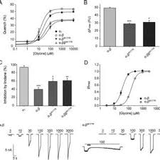 Home omics dna dna microscopy spatially maps dna and other biomolecules in cells and tissues. Dna Contains Instructions For Making What Other Biomolecule What Is Dna Replication Lovetoknow 11 Dna Is The Instructions For Making What Amigos Panfu