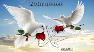 Pin By Blue Ice On Hz Muhammed Sav Animals Doves Bird