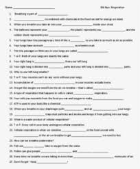 Read everything on this sheet before the video starts. Video Worksheet For Bill Nye Bill Nye Lakes And Ponds Worksheet Answer Key Transparent Png 309x400 Free Download On Nicepng