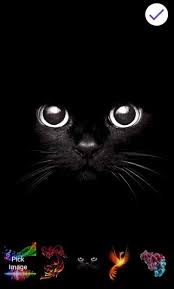 Looking for the top lock screen girly android wallpaper? Girly Wallpapers Lock Screen Ios Pin Hd For Android Apk Download