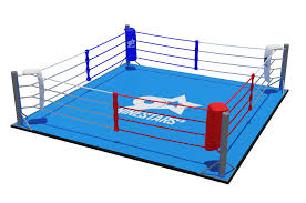 Para ello tienes que entrenar, aprender nuevos golpes y ganar combates. Boxing Ring On Floor